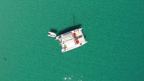 Kreisen-Sie-Direkt-über-Dem-Katamaran-Auf-Dem-Wunderschönen-Grünen-Ozean,-Dem-Great-Barrier-Reef