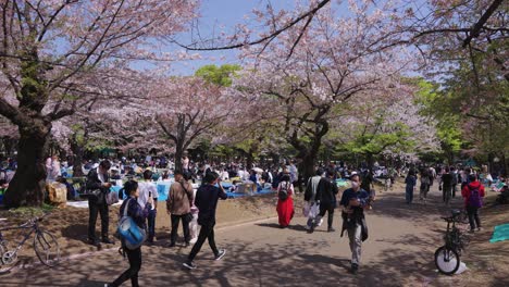 Während-Der-Sakura-Saison-Laufen-Menschen-Durch-Den-Yoyogi-Park