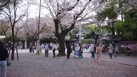 Yasukuni-Schrein,-Im-Frühling-Besuchen-Menschen-Den-Historischen-Tempel