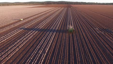 Drone-flies-over-cotton-harvester-as-it-works-a-field-in-the-afternoon-light
