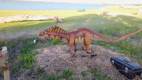 Parque-Prehistórico-Amargasaurios-En-El-Parque-Meadowmere-En-Grava,-Texas
