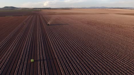 A-drone-flies-over-a-lone-harvester-as-it-picks-cotton-from-a-large-cotton-field
