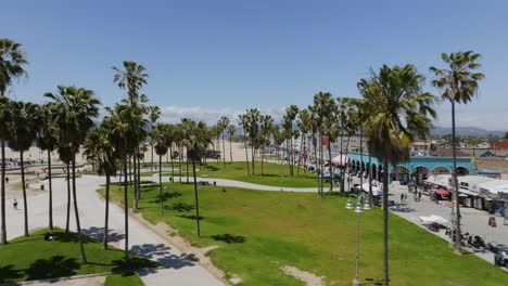 Aerial-view-in-middle-of-palm-trees-and-over-people-at-the-Santa-Monica-State-Beach,-in-sunny-Los-Angeles,-USA