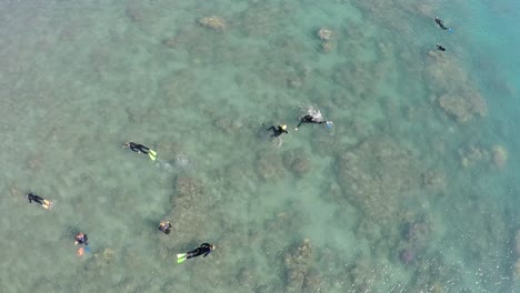 A-group-snorkels-on-a-reef-in-the-clear-waters-of-North-Queensland