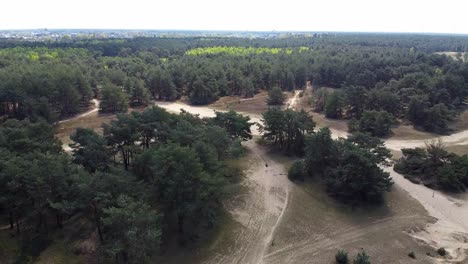 Person-running-in-the-middle-of-the-forest-in-Lommel,-Belgium,-with-the-town-in-the-distance