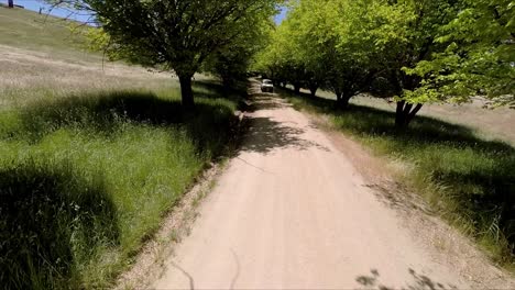 Drone-Filmando-Hacia-Atrás-La-Utilidad-Mientras-Conduce-Por-Un-Camino-De-Tierra-Bordeado-De-árboles