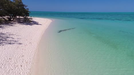Die-Kamera-Fliegt-Am-Wunderschönen-Weißen-Strand-Entlang-Und-Reinigt-Das-Wasser-Der-Heron-Insel