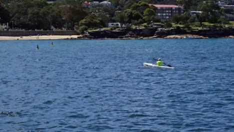 Un-Kayakista-Solitario-Rema-De-Regreso-A-La-Orilla,-Después-De-Haber-Disfrutado-De-Las-Tranquilas-Aguas-Alrededor-De-La-Playa-De-Balmoral,-Un-Popular-Destino-De-Vacaciones-En-Sydney.