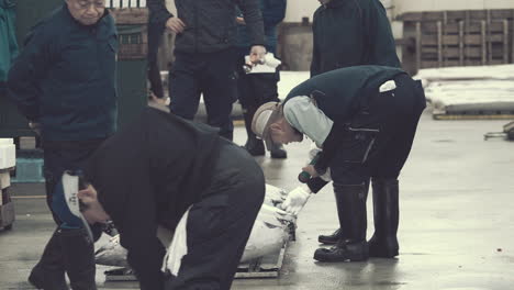 Compradores-De-Pescado-Profesionales-Inspeccionando-Atún-Congelado-En-Una-Subasta-De-Atún-En-El-Mercado-De-Pescado-De-Tsukiji-En-Tokio