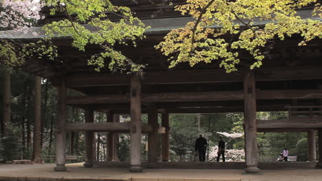 Adult-male-walking-through-Engakuji-temple,-The-famous-temple-in-the-city-of-Kamakura,-Japan