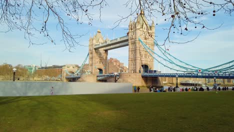 Tower-Bridge-London-Unter-Ästen-Blauer-Himmel-Sonniger-Tag