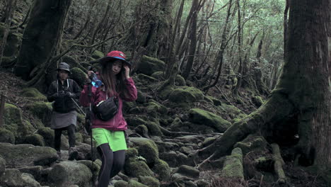 Hikers-walking-through-forest-in-Yakushima,-Japan