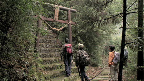 Group-of-tourists-exploring-shrines-gate-in-lush-dense-woodland-following-old-steel-rail-tracks-through-trail