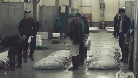 Eine-Sammlung-Von-Thunfischen-Auf-Dem-Boden-In-Einem-Fischmarkt