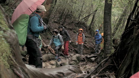 Static-shot-of-male-with-parasol---group-of-trekkers-in-woodland-excursion-in-misty-rock-woodland-terrain