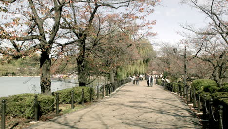 Menschen,-Die-Im-Berühmten-Park-In-Tokio,-Japan,-Spazieren-Gehen