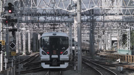 Riesiger-Bahnhofstag-In-Tokio-Geschossen