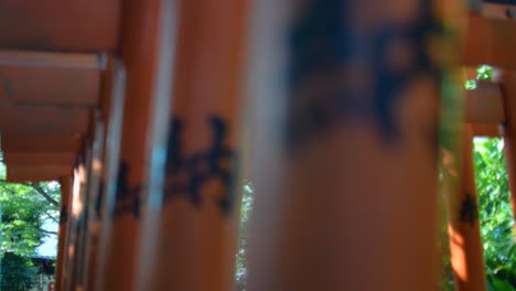 torii-gates-at-Hanazonoinari-Shrine