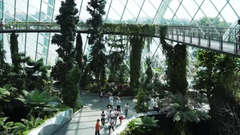 tourists-exploring-cloud-forest-singapore