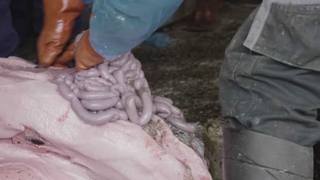 Fisherman-Cutting-Out-Intestines-From-Dead-Seal-In-Nuuk,-Greenland