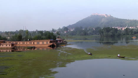 Boats-gliding-the-stagnant-tranquil-waters-of-Harike-wetland-Punjab,-wide-shot