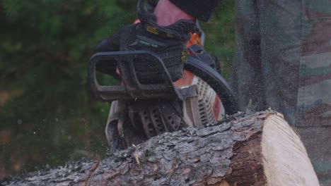 Chainsaw-operator-cutting-log-with-chainsaw