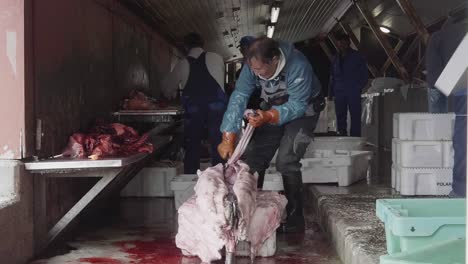 View-Of-Fisherman-Cutting-Up-Dead-Seal-In-Slaughterhouse,-Greenland
