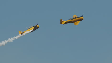 Close-up-of-two-North-American-Harvard-Mark-IV-airplanes-separating-and-climbing
