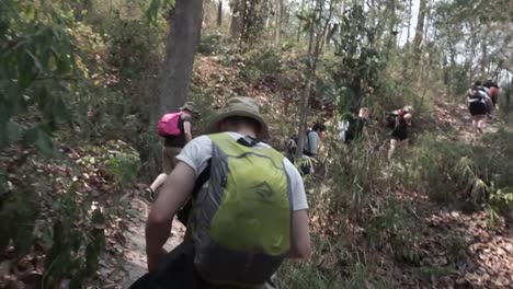 Wandern-Im-Dschungel-Südostasiens