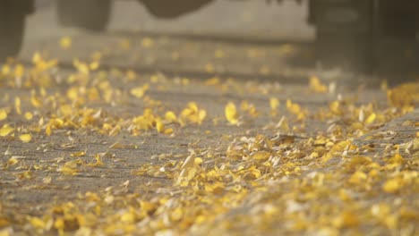 Close-up-of-tires-driving-through-colorfull-leaves-in-autumn