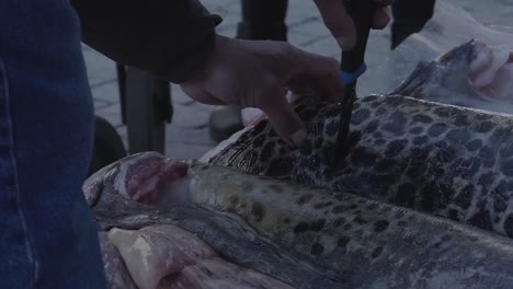 Pescador-Usando-Un-Cuchillo-Para-Comprobar-La-Frescura-Del-Pescado-Crudo-Afuera-En-El-Pavimento-En-Groenlandia