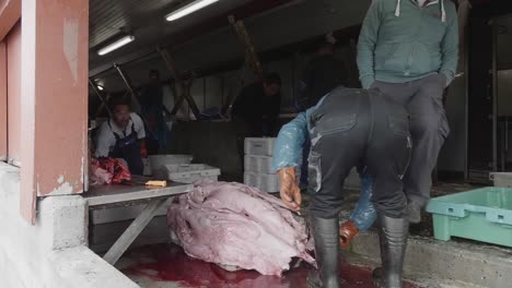Inuit-Fisherman-Cutting-Up-Skinned-Seal-At-Slaughterhouse