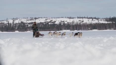 Musher-and-dog-sled-team-race-across-frozen-lake-in-Yellowknife-Northwest-Territories