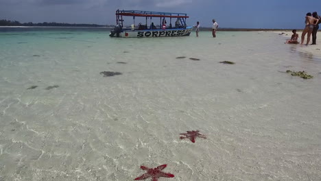 Estrellas-De-Mar-Rojas-Cubren-Las-Playas-De-Arena-Blanca-Cerca-De-Una-Isla-Cerca-De-Watatmu,-Kenia