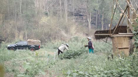 Agricultores-Trabajando-En-Una-Granja-En-Aisa.