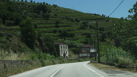 Vinyards-in-Douro-valey-Portugal