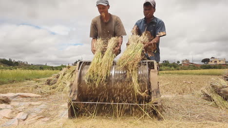 Zwei-Landwirte-Nutzen-Eine-Pedalbetriebene-Weizendreschmaschine-In-Madagaskar