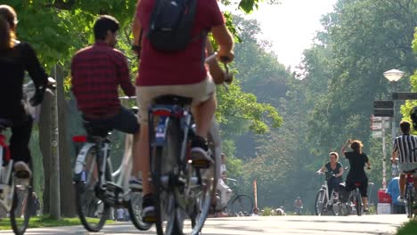 Menschen-Radeln-In-Der-Sommerparkumgebung