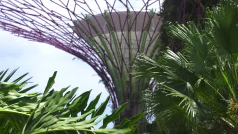 Súper-árbol-En-Jardines-Botánicos-De-Singapur-Con-Plantas-Moviéndose-Con-El-Viento.