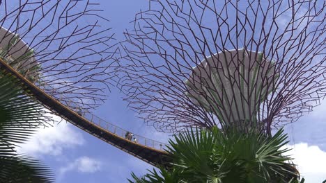 Blick-Auf-Superbäume-Und-Gehweg-Im-Botanischen-Garten-In-Singapur