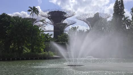 Fuente-De-Agua-Rociando-Agua-Con-Supertree-Grove-En-El-Fondo-En-Singapur