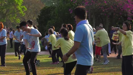 Männer-Und-Frauen-Wiegen-Ihre-Körper-Beim-Tai-Chi-Üben-In-Singapur-–-Mittlere-Aufnahme