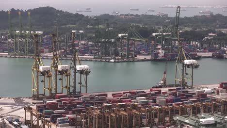 Blick-Auf-Kräne-Im-Hafen-Von-Singapur