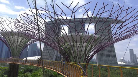 Tourists-walk-along-Singapore-park-Skyway-admiring-Supertree-canopies---Medium-wide-static-shot