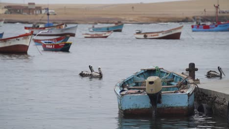 An-Einem-Pier-Festgebundenes-Holzboot-Mit-Vorbeischwimmenden-Peruanischen-Pelikanen