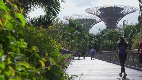 Visitantes-Caminando-Por-El-Paseo-Marítimo-De-Los-Jardines-Junto-A-La-Bahía-En-Singapur.