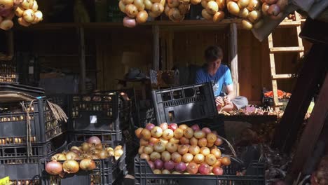 Farmer-braids-Onion-strings-behind-market-stand-in-Kolkja,-Estonia