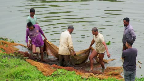 Eine-Gruppe-Bangladeschischer-Fischer-Schleppt-Am-Schlammigen-Flussufer-Ein-Netz-Voller-Fische-Hinein