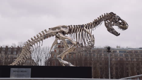El-Esqueleto-De-Aluminio-De-Un-Dinosaurio-T-Rex-Se-Encuentra-Cerca-Del-Río-Sena-En-París,-Francia.