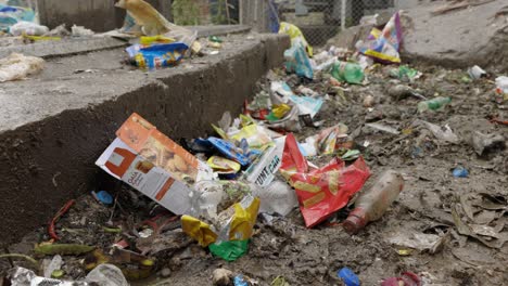 Street-full-of-Trash,-Pollution,-India